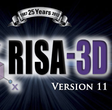 RISA-3D 11.0
