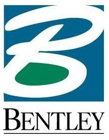 Bentley RAM Elements CONNECT Edition 15 crack download