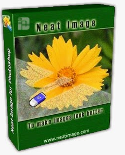 Neat Image Pro 8. crack download