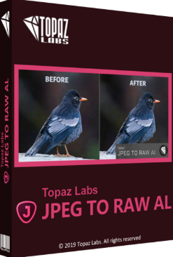 Topaz JPEG to RAW AI 2 crack download
