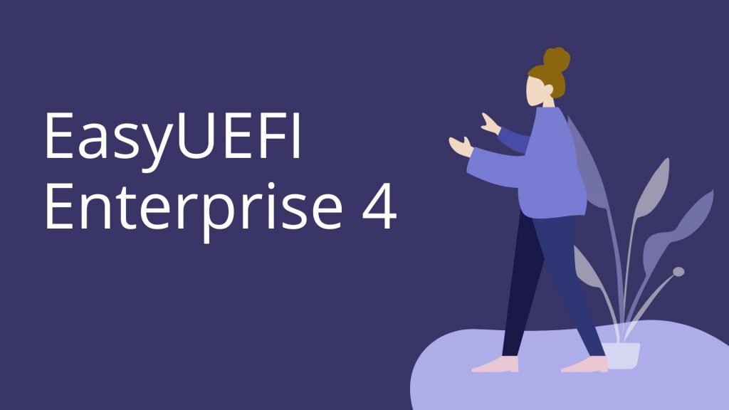 EasyUEFI Enterprise 4