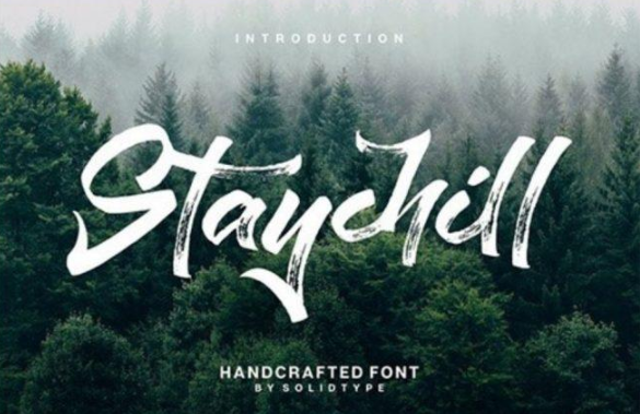 The Little Font Bundle