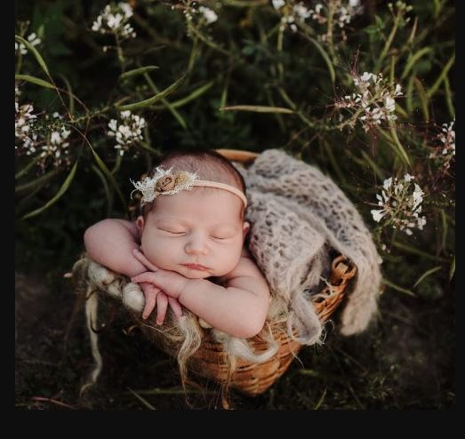 Twig & Olive Photography – Newborn Prop Shopping | Feature