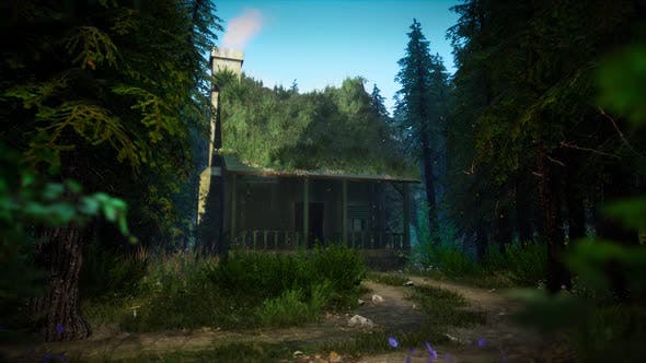 Videohive Cabin In A Dark Forest Looped Hd 33528104 Free Download