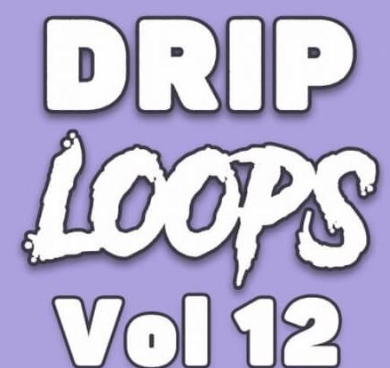 DiyMusicBiz Drip Loops Vol.12 [WAV]