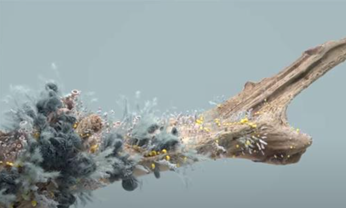 Helloluxx - Learn Houdini In Bloom with Rich Nosworthy
