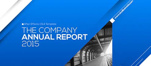 Videohive Annual Report Multipurpose 13300008