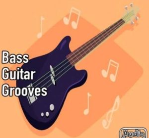 AudioFriend Bass Guitar Grooves [WAV]