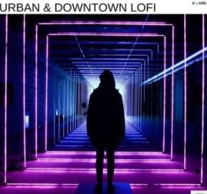 Diamond Sounds Urban and Downtown Lofi [WAV]