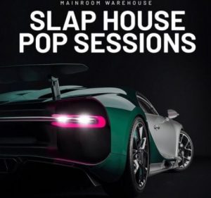 Mainroom Warehouse Slap House Pop Sessions [WAV, MiDi, Synth Presets]