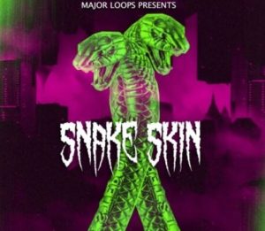 Major Loops Snake Skin [WAV]