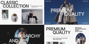 Videohive Swan Store Gallery Promo 34568649