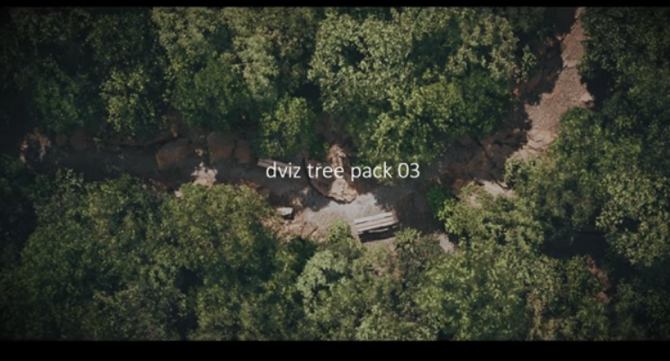 DVIZ – Unreal Engine Tree and Forest Pack 03