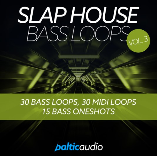Baltic Audio Slap House Bass Loops Vol.3 [WAV, MiDi]