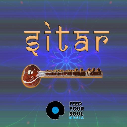Feed Your Soul Music Sitar [WAV]