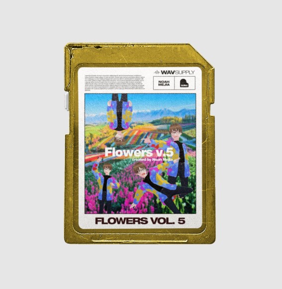WavSupply Noah Mejia Flowers Vol.5 (One Shot Kit) [WAV]