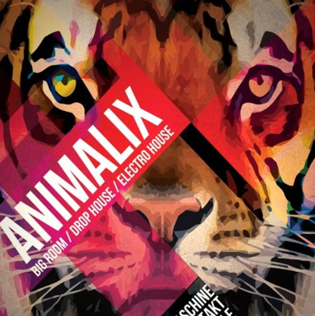 8Dio Animalix Vol.1 [Maschine, KONTAKT]