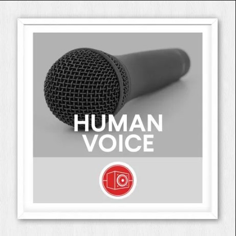 Big Room Sound Human Voice [WAV]
