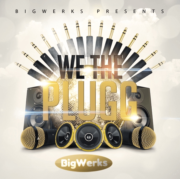 BigWerks We The Plugg [Synth Presets]