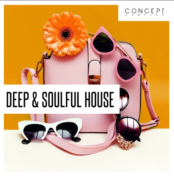 Concept Samples Deep and Soulful House [WAV]