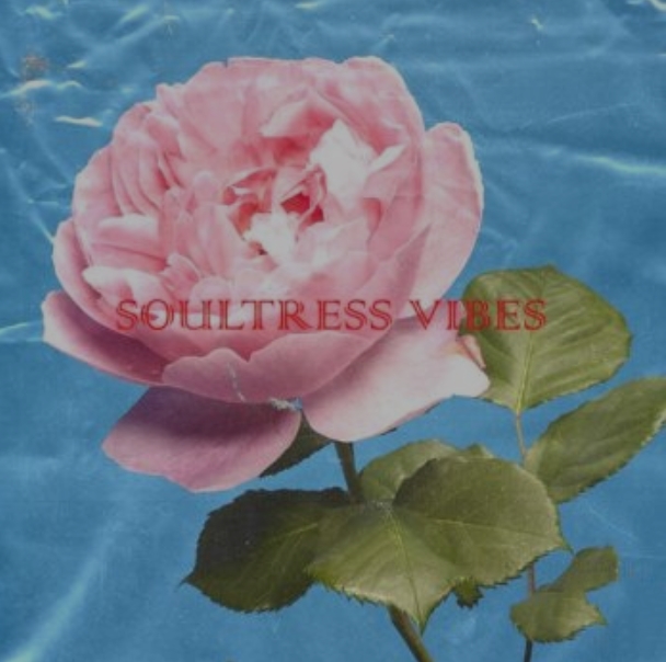 Loops 4 Producers Soultress [WAV]