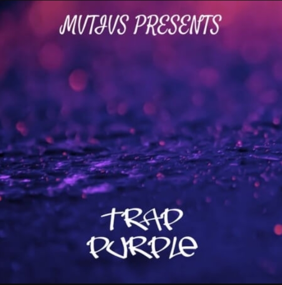 Loops 4 Producers Trap Purple [WAV]