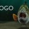 Videohive Fishing Opener 33600676 Free Download