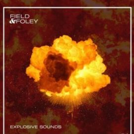 Field and Foley Explosive Sounds [WAV] (Premium)