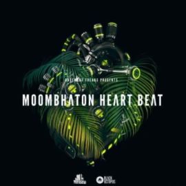 Black Octopus Moombahton Heart Beat By Basement Freaks [WAV] (Premium)