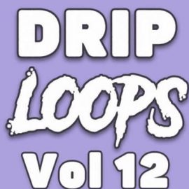 DiyMusicBiz Drip Loops Vol.12 [WAV] (Premium)