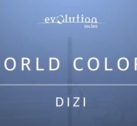 Evolution Series World Colors Dizi [KONTAKT] (Premium)