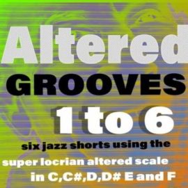 Flintpope ALTERED GROOVES 1 To 6 [WAV] (Premium)