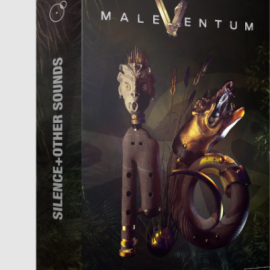 Silence+Other Sounds Maleventum 2 KONTAKT  (Premium)