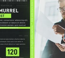 Videohive Corporate Business Promo 34621897