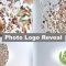 Videohive Photos Logo Reveal 28435537