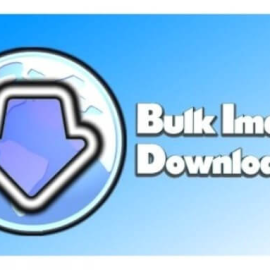 Bulk Image Downloader 6.5.0.0  Free Download
