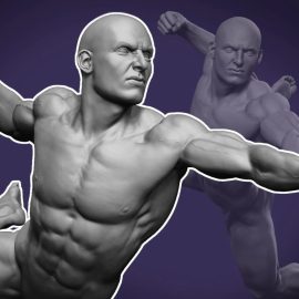 Dynamic Male Anatomy for Artists in Zbrush : Make Realistic 3D Human Model (Premium)