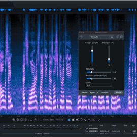 iZotope RX 9 Audio Editor Advanced v9.3.0 [WiN] (Premium)