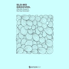 Samplestar Slo Mo Grooves [WAV] (Premium)