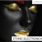 Concept Samples Ethnic Electronica [WAV] (Premium)