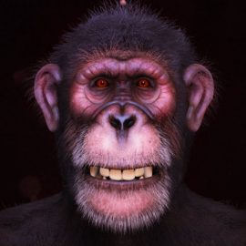 Create a Realistic Chimpanzee in Zbrush (Premium)
