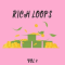 DiyMusicBiz Rich Loop Vol.2 [WAV] (premium)