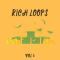 DiyMusicBiz Rich Loop Vol.5 [WAV]  (Premium)