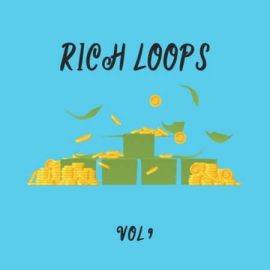 DiyMusicBiz Rich Loop Vol.9 [WAV] (Premium)