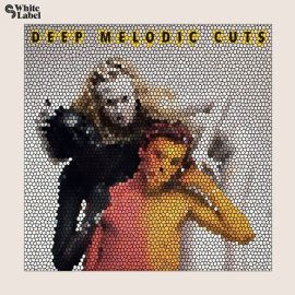 Sample Magic Deep Melodic Cuts [WAV] (Premium)