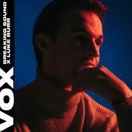 VOX Breaking Sound X Luke Burr Vocal Pack [WAV] (Premium)