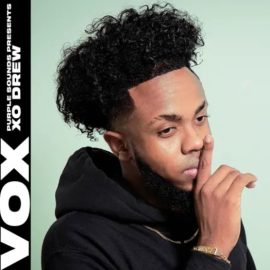 VOX Purple Sounds Presents XO Drew Vocal Pack [WAV] (Premium)