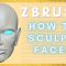Zbrush – How to Sculpt Faces (Premium)