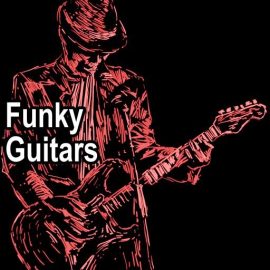 AudioFriend Funky Guitars [WAV] (Premium)