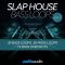Baltic Audio Slap House Bass Loops Vol.2 [WAV, MiDi] (Premium)